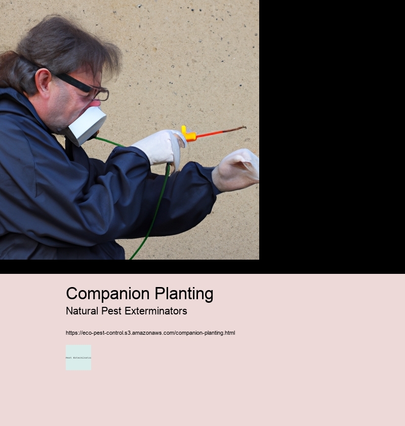 Companion Planting